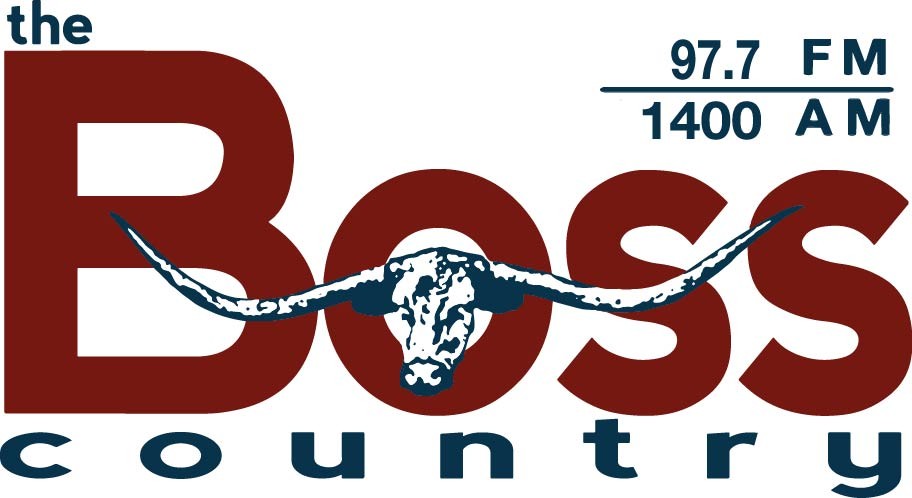 Boss-1